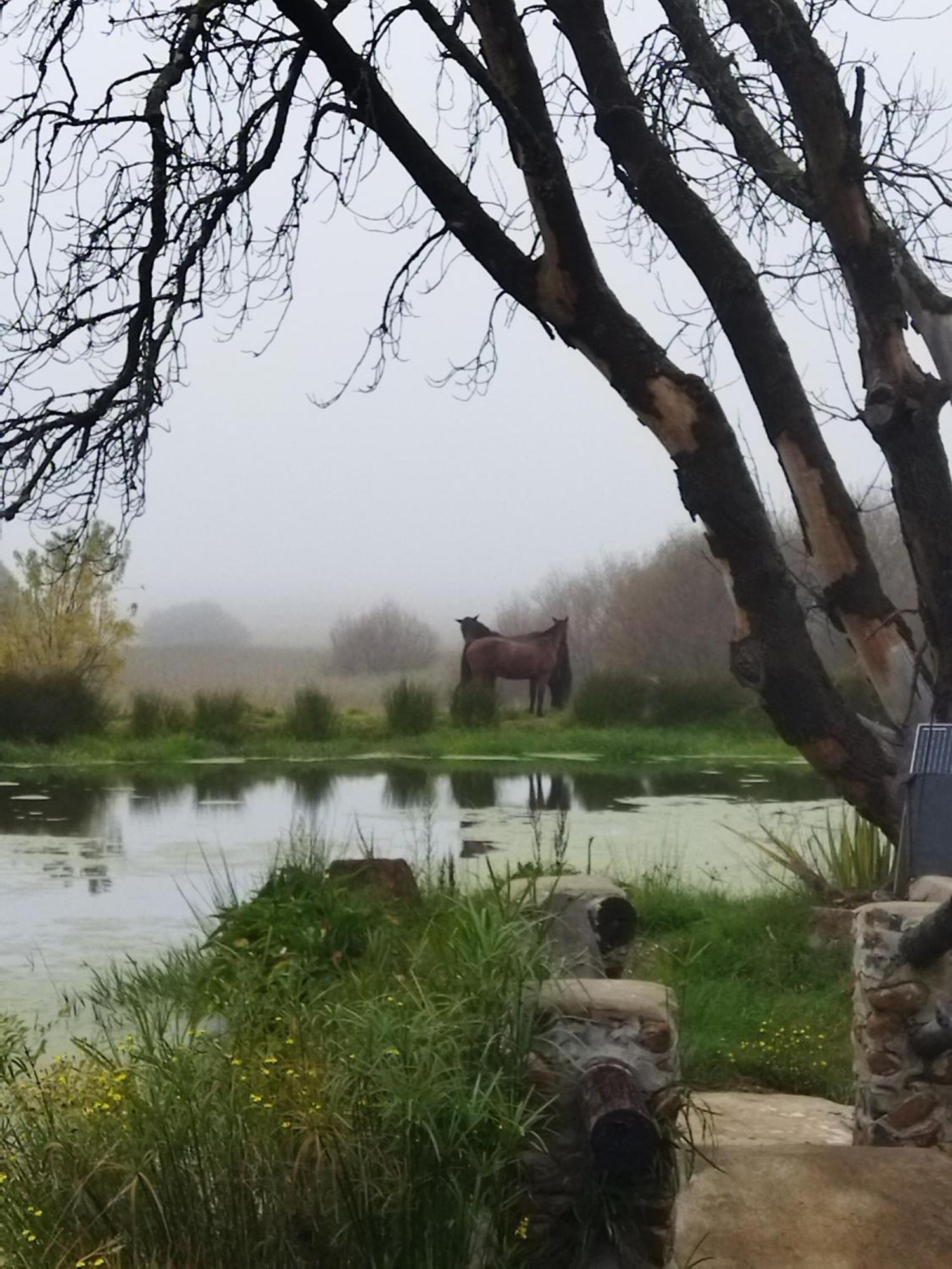 Flitwick Ranch Hotel Swartberg Екстериор снимка